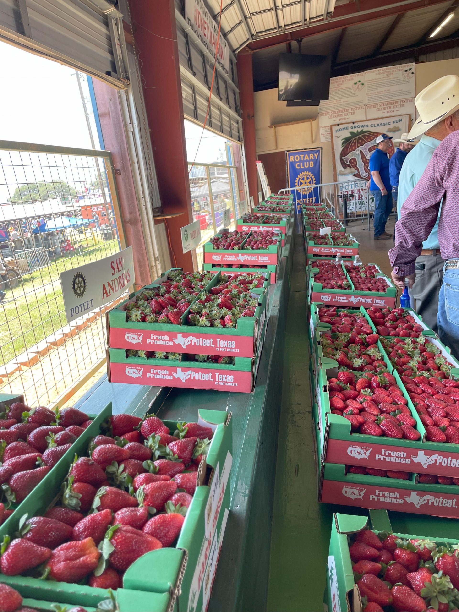Featured image for “Poteet Strawberry Festival”