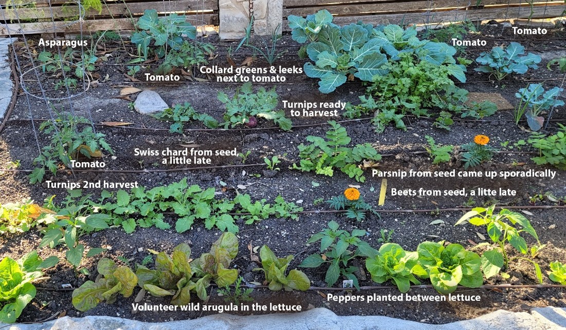 Featured image for “How to Get the Most Out of Your Small Garden”